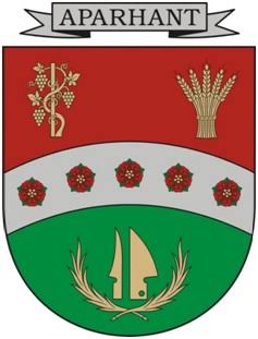 Aparhant Térfigyelő Rendszer